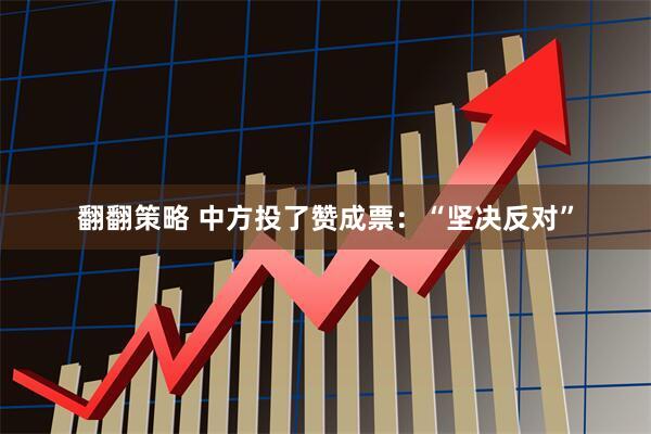 翻翻策略 中方投了赞成票：“坚决反对”