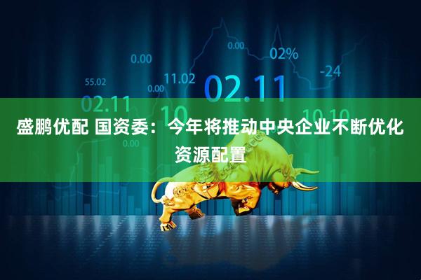 盛鹏优配 国资委：今年将推动中央企业不断优化资源配置