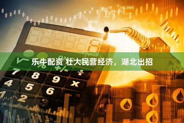 乐牛配资 壮大民营经济，湖北出招