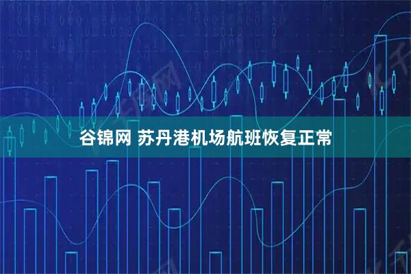 谷锦网 苏丹港机场航班恢复正常