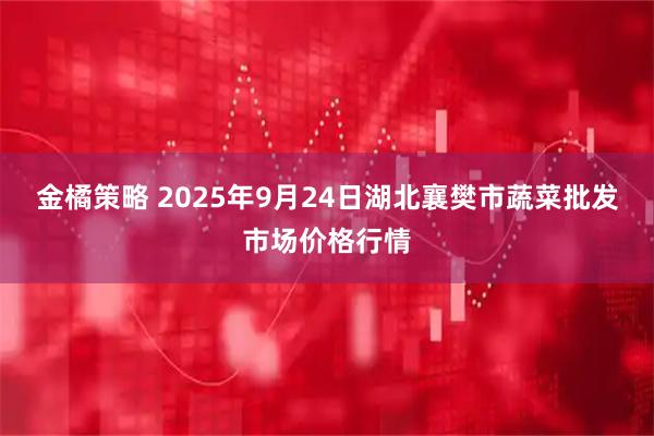 金橘策略 2025年9月24日湖北襄樊市蔬菜批发市场价格行情