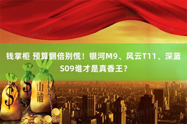 钱掌柜 预算翻倍别慌！银河M9、风云T11、深蓝S09谁才是真香王？