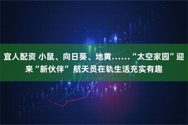 宜人配资 小鼠、向日葵、地黄……“太空家园”迎来“新伙伴” 航天员在轨生活充实有趣