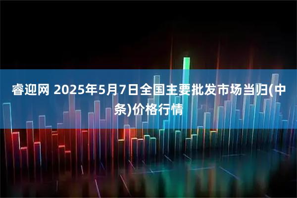睿迎网 2025年5月7日全国主要批发市场当归(中条)价格行情
