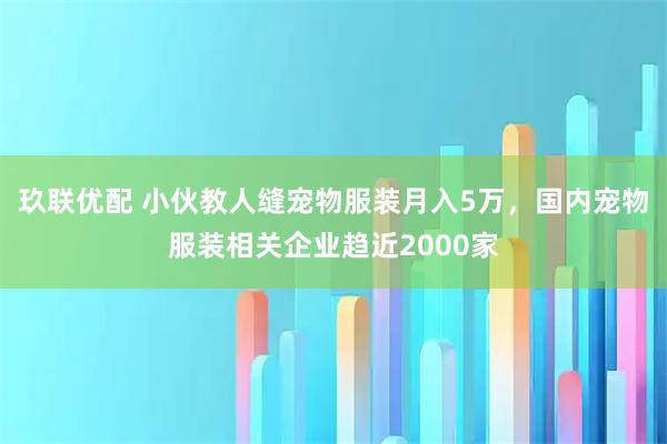 玖联优配 小伙教人缝宠物服装月入5万，国内宠物服装相关企业趋近2000家