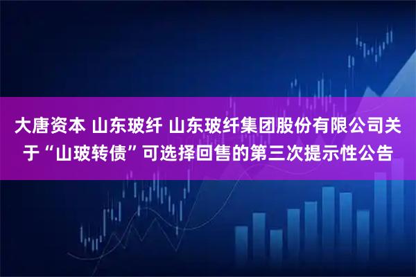 大唐资本 山东玻纤 山东玻纤集团股份有限公司关于“山玻转债”可选择回售的第三次提示性公告