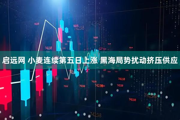 启远网 小麦连续第五日上涨 黑海局势扰动挤压供应